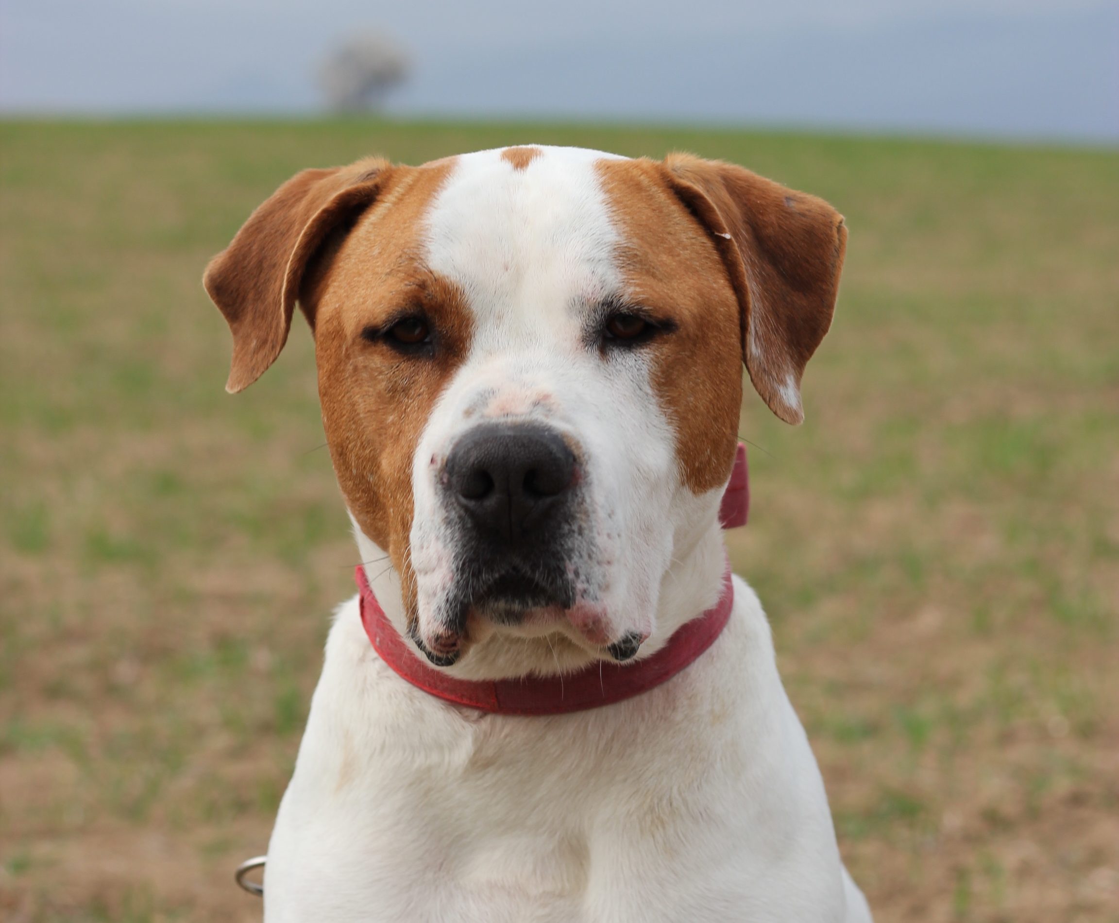 Cooper (🆘️CAS URGENT)