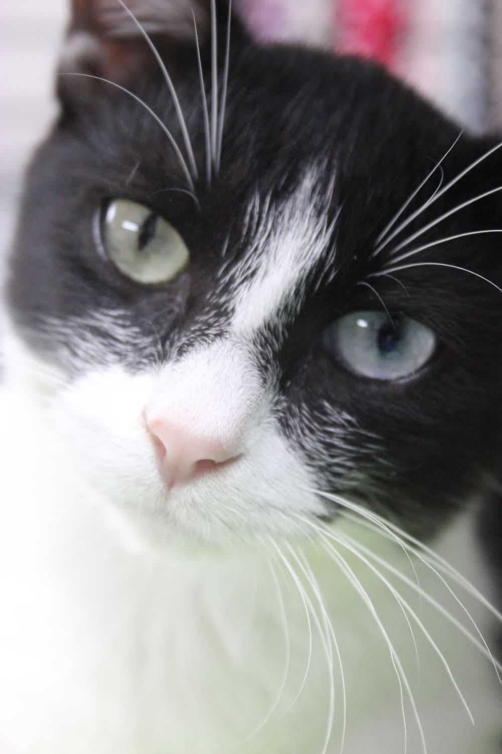 Peter Parker i Mary Jane