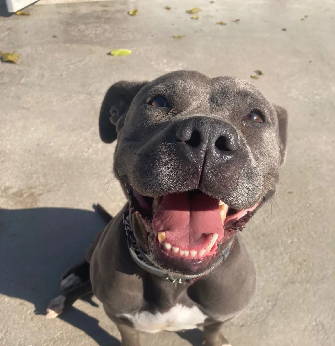 Mami ❤️- Pura alegria