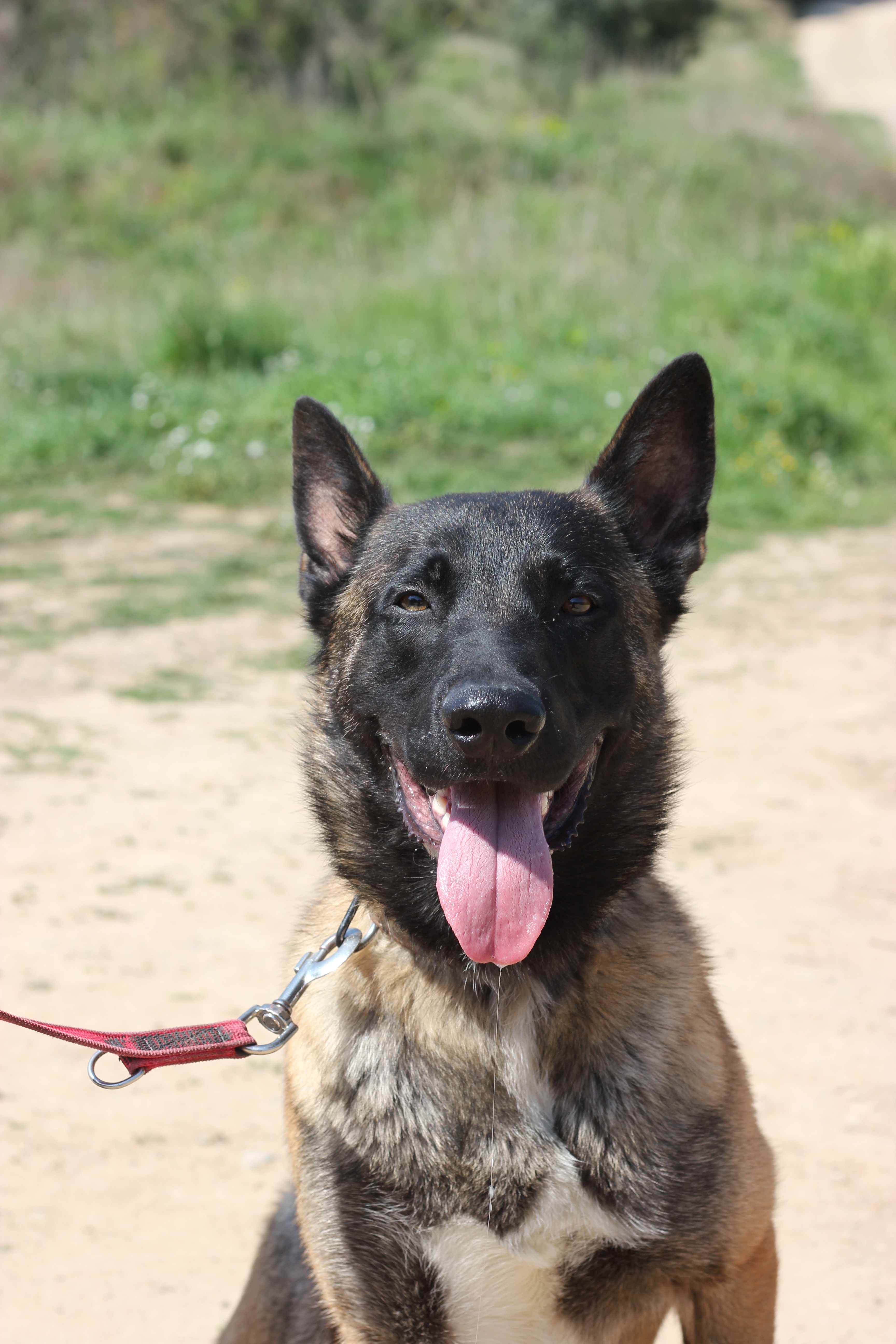 ❤️💜❤️SCORING – Energia i tendresa