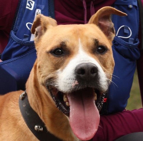 Coco -❤️No es pot ser més bo