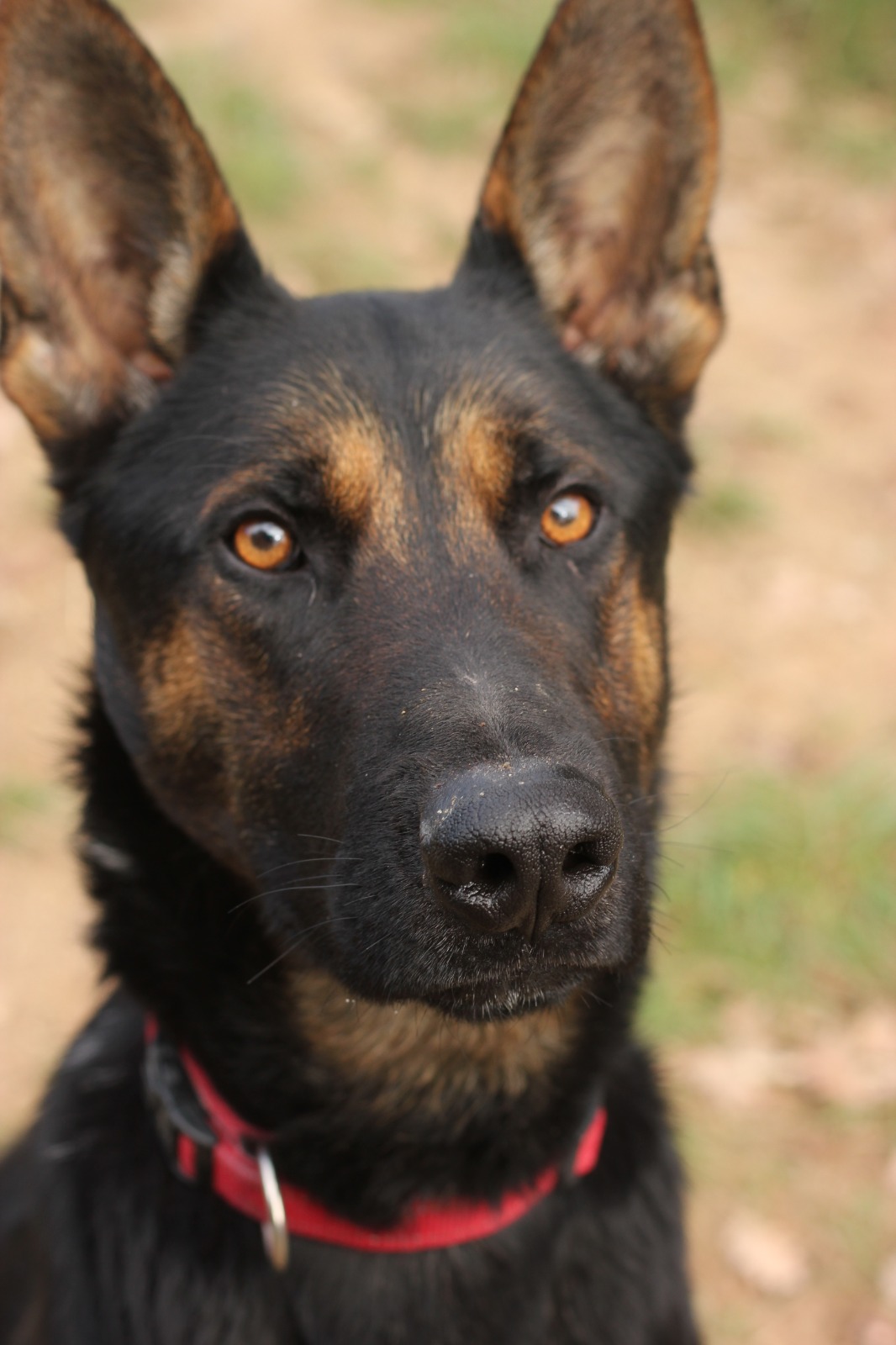 💜MAKO 💜 -Tranquil·litat i Cor